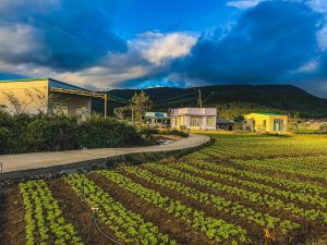 du-an-thanh-my-don-duong-lam-dong-dep