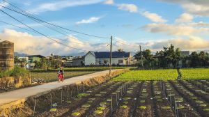 mua-dat-khu-vuc-thanh-my-don-duong-ld