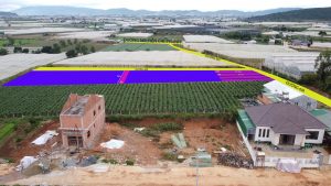 thanh-my-golden-field-don-duong-lamdong