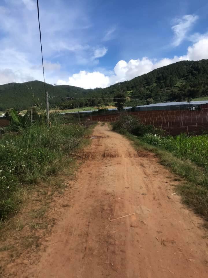 Địa Ốc Tín Đức