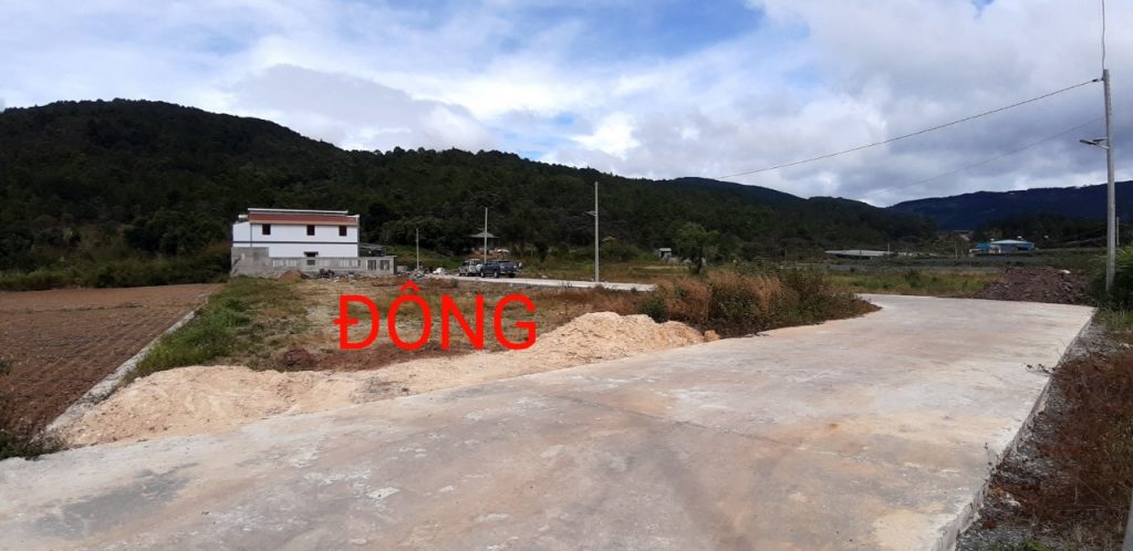 Địa Ốc Tín Đức