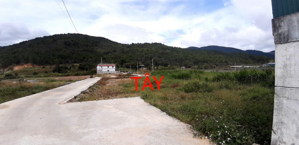 Địa Ốc Tín Đức