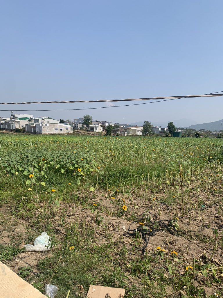 Địa Ốc Tín Đức