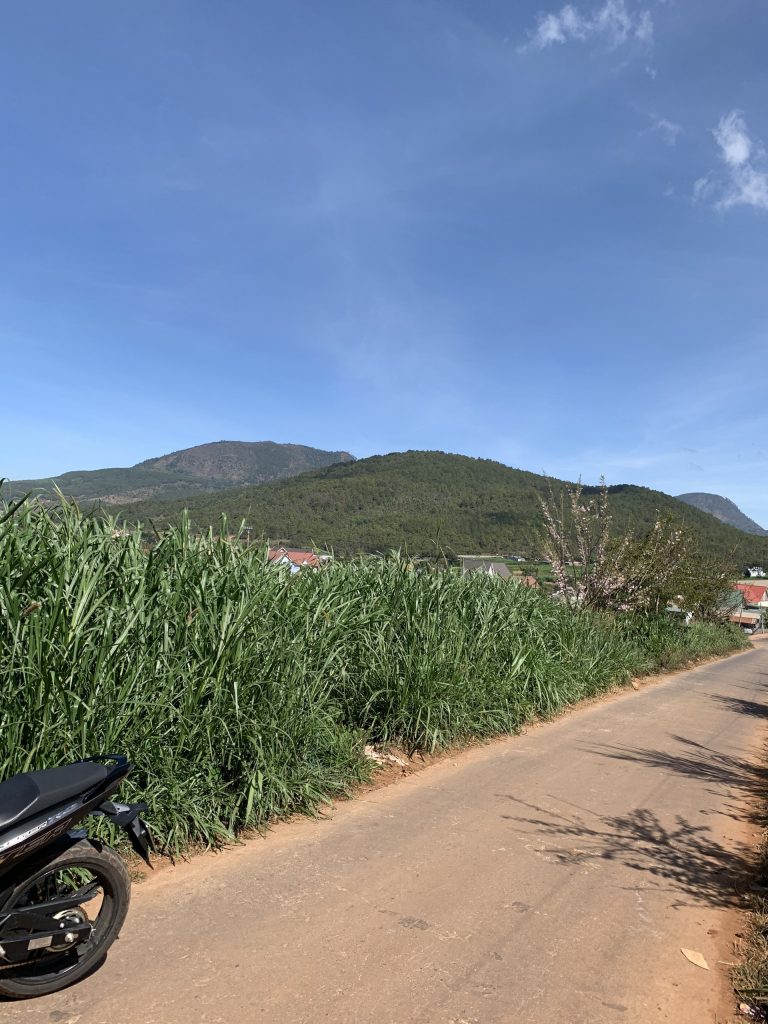 Địa Ốc Tín Đức
