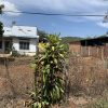 Bán đất sào Đơn Dương-Lâm Đồng giá rẻ
