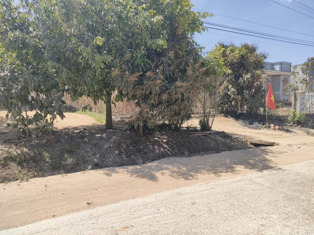 Địa Ốc Tín Đức