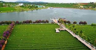 Địa Ốc Tín Đức