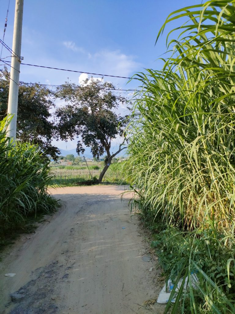 Địa Ốc Tín Đức