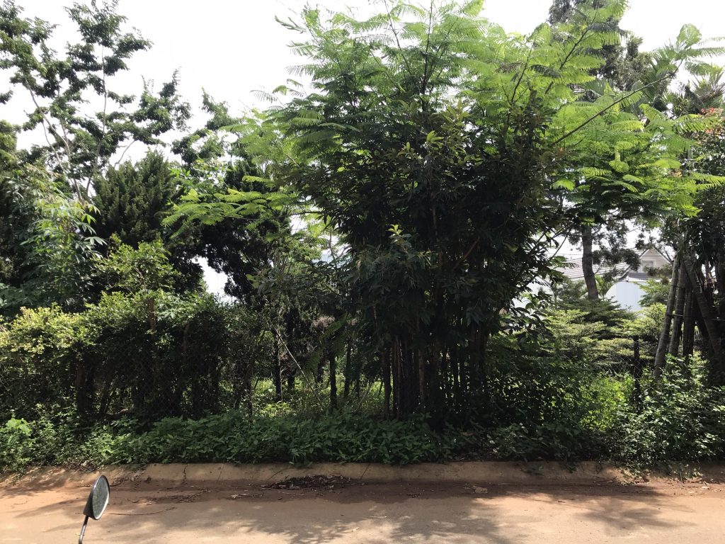 Địa Ốc Tín Đức