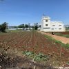 Cần bán lô đất 755 triệu, cách sân bay Liên Khương chỉ 5km