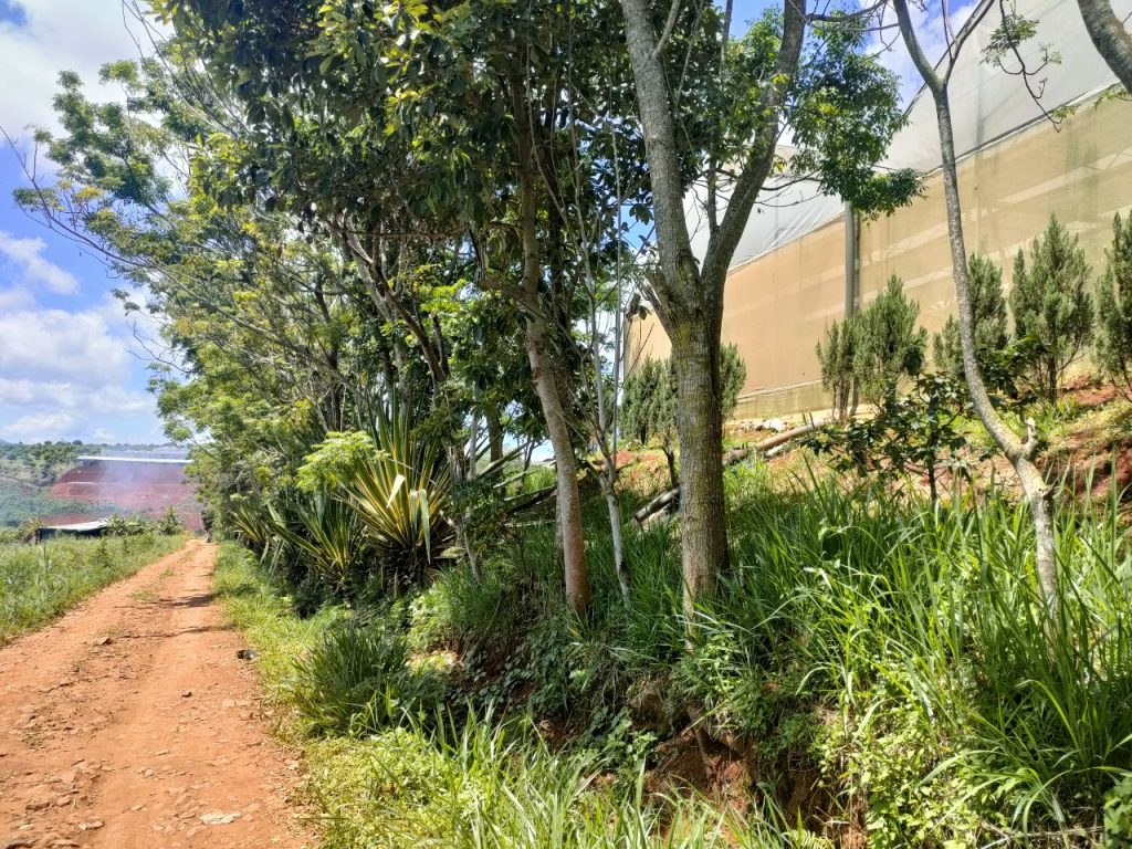 Địa Ốc Tín Đức