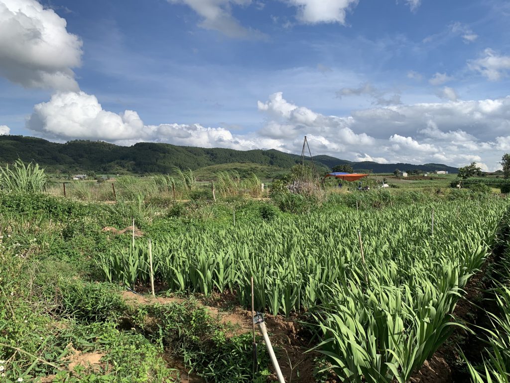 Địa Ốc Tín Đức
