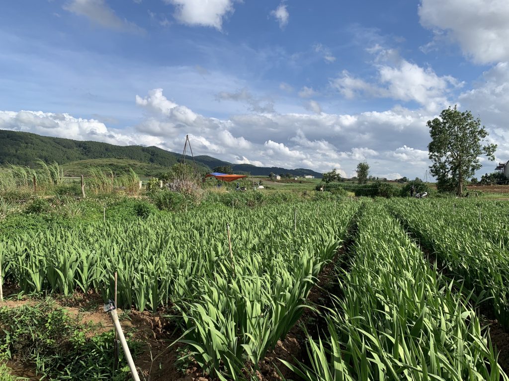 Địa Ốc Tín Đức