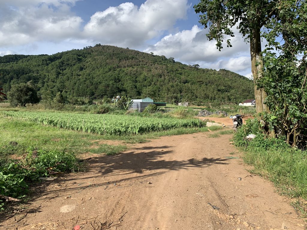 Địa Ốc Tín Đức