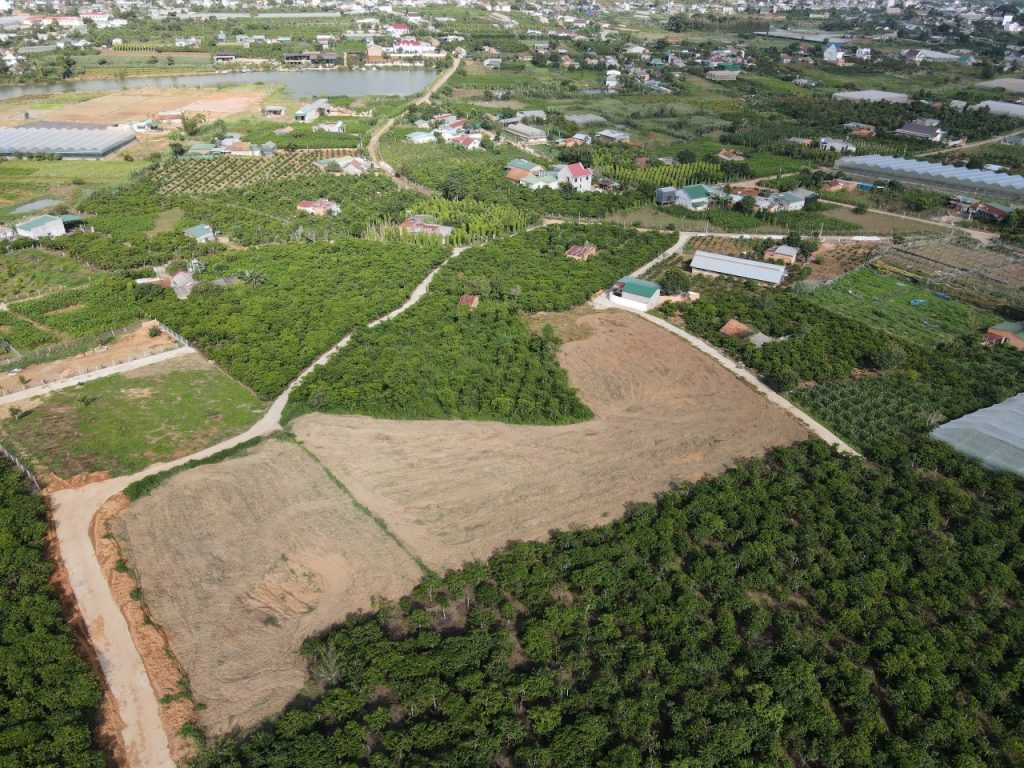 Địa Ốc Tín Đức