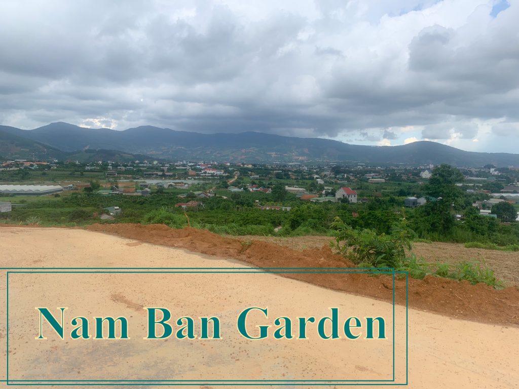 Địa Ốc Tín Đức