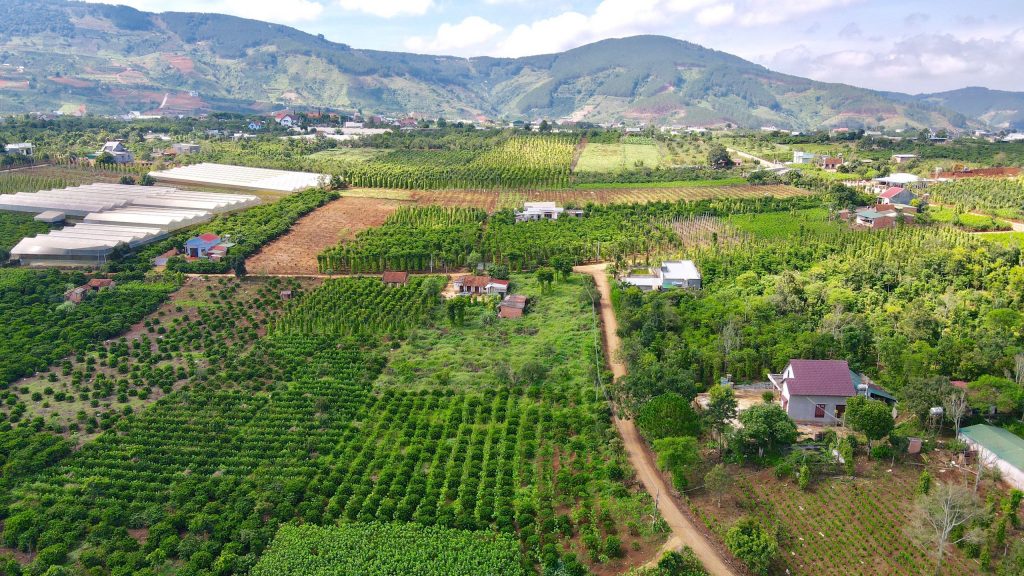 Địa Ốc Tín Đức