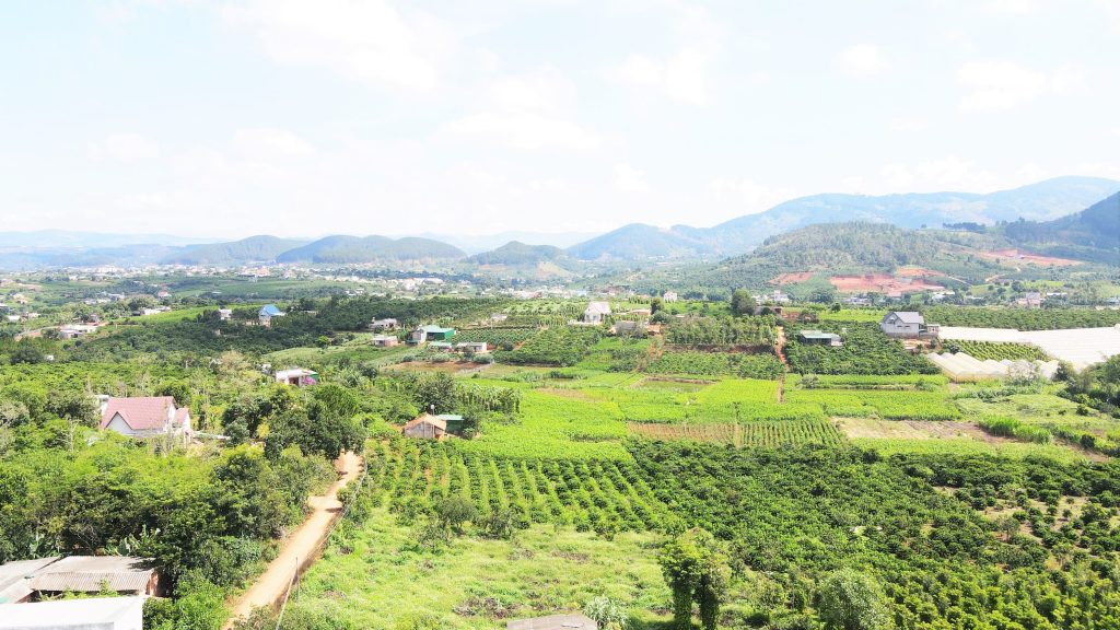 Địa Ốc Tín Đức
