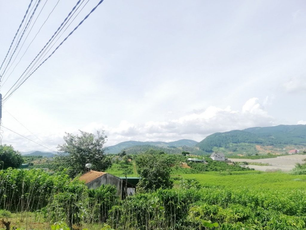 Địa Ốc Tín Đức