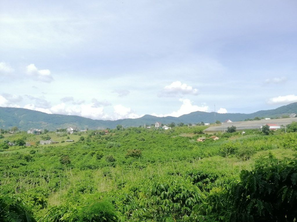 Địa Ốc Tín Đức