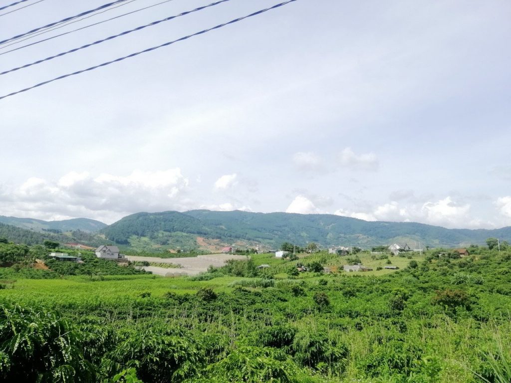 Địa Ốc Tín Đức