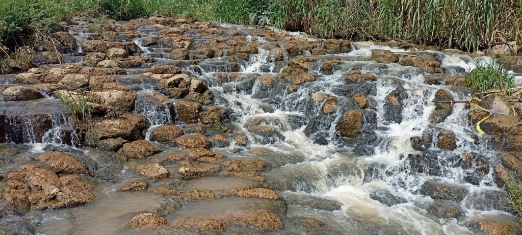 Địa Ốc Tín Đức