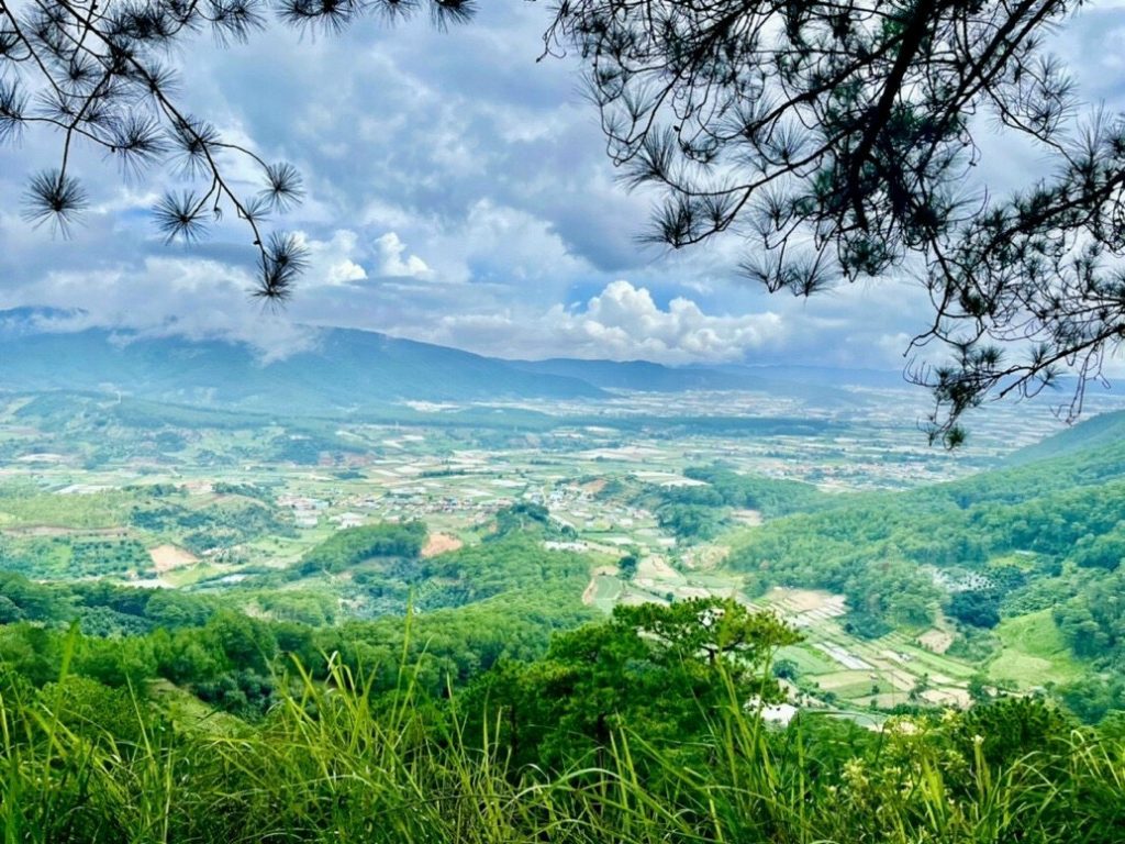 Địa Ốc Tín Đức