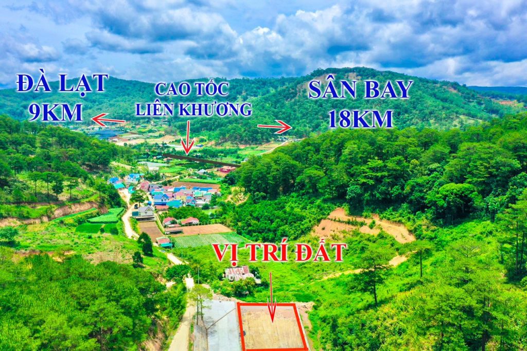 Địa Ốc Tín Đức