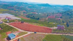 z2481656429984_2e022b5f359a91c2aa60b3daca72afbb