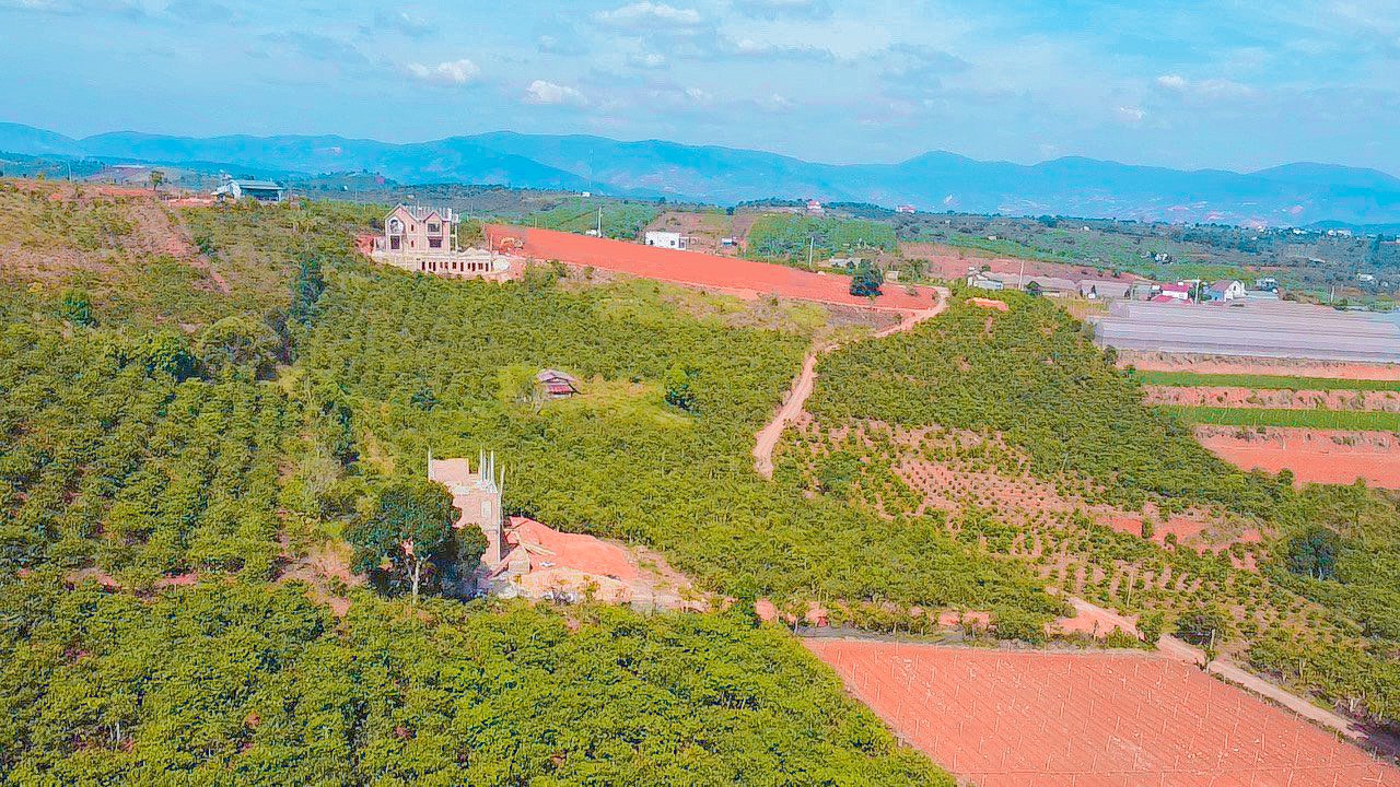 z2481656445179_47de72bbdfa8fe9d0577dfb7beb2f736