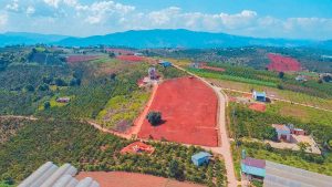 z2481656470766_4e45d00fdc01204abe83da5d37850cfb