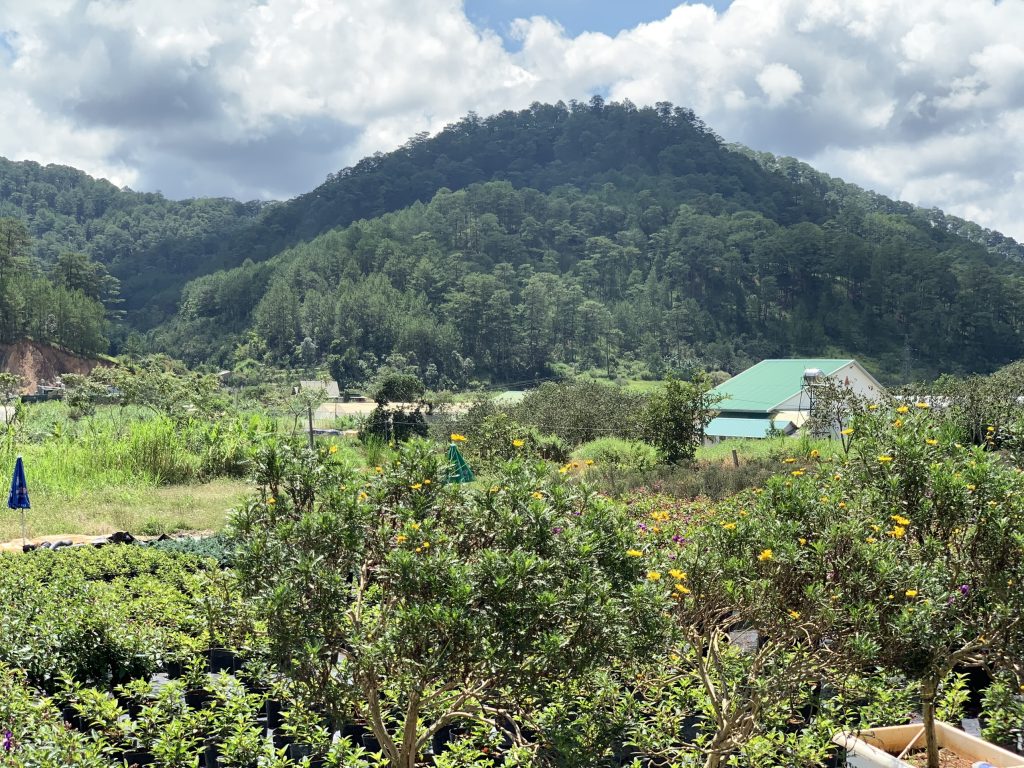 Địa Ốc Tín Đức