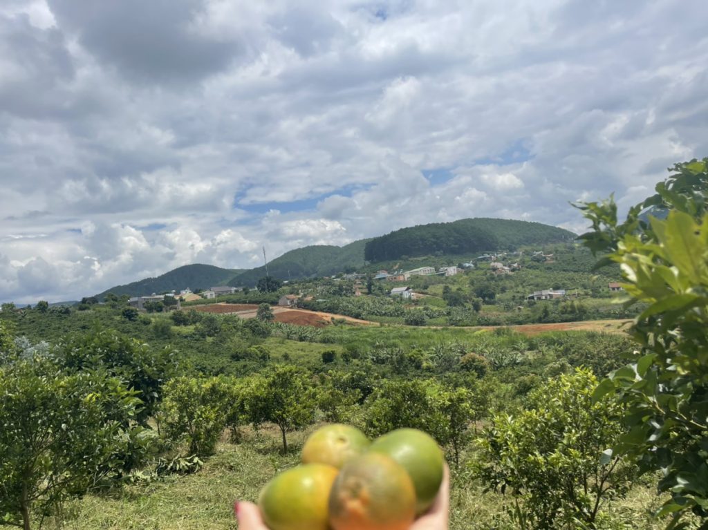 Địa Ốc Tín Đức