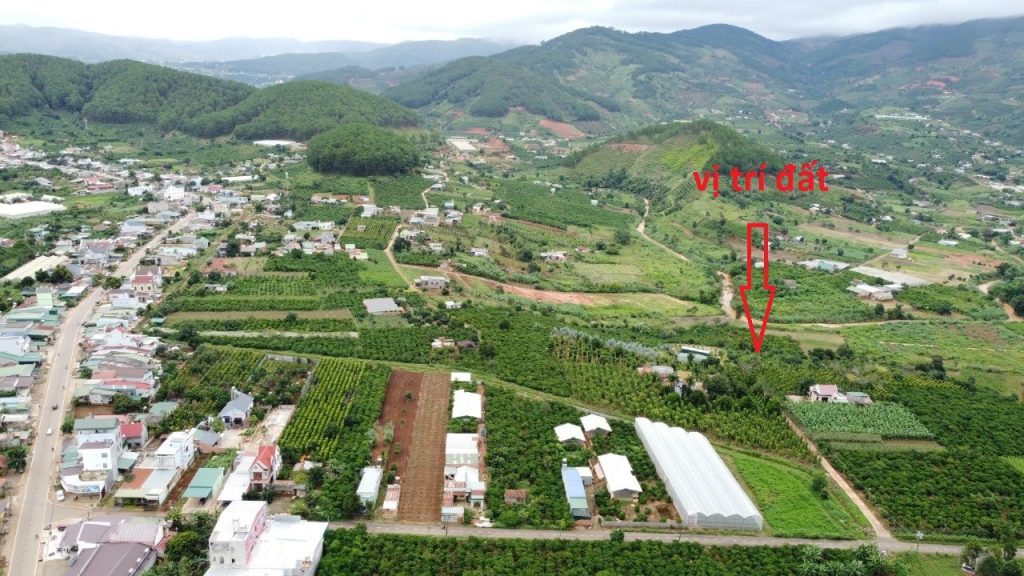 Địa Ốc Tín Đức