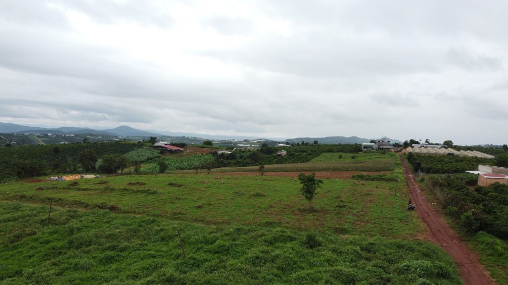 Địa Ốc Tín Đức