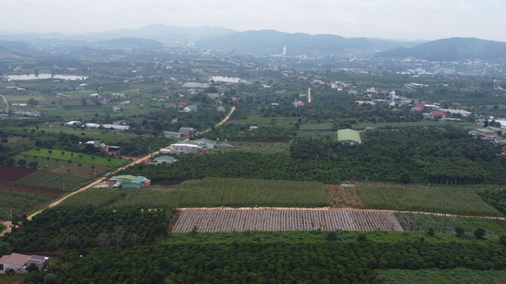 Địa Ốc Tín Đức