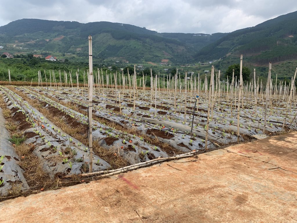 Địa Ốc Tín Đức