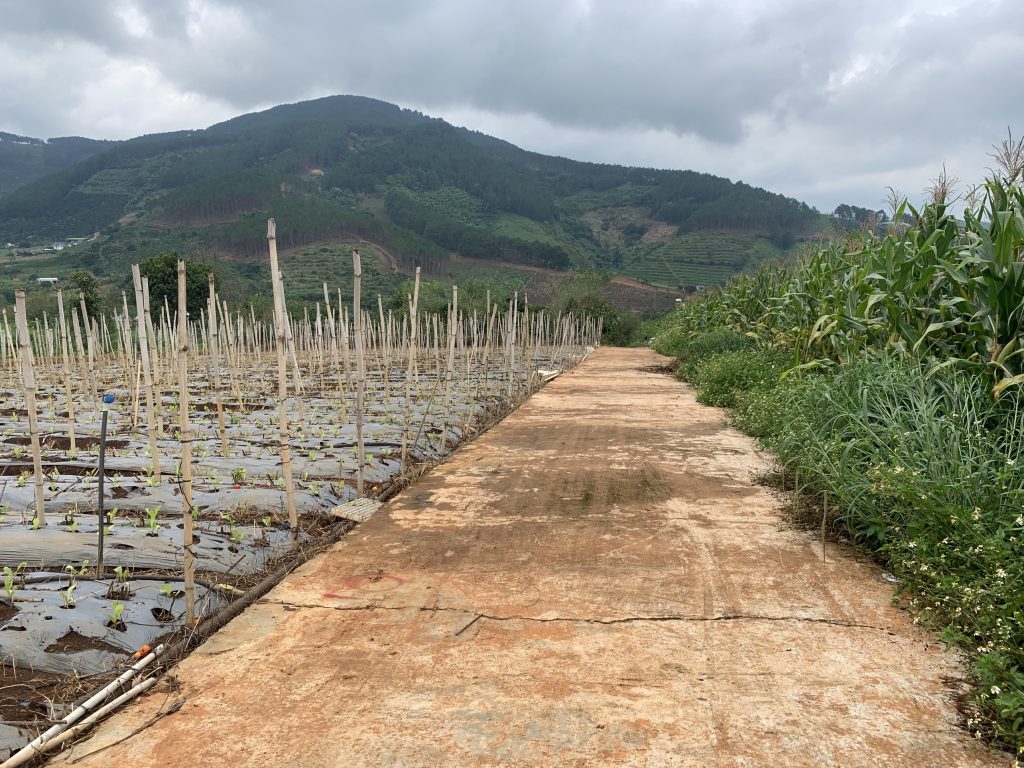 Địa Ốc Tín Đức