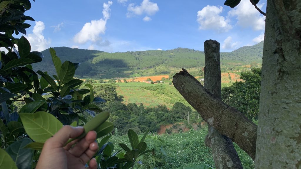 Địa Ốc Tín Đức