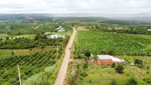 z2842326449802_fe491251796202560cbe7502741aa9e0