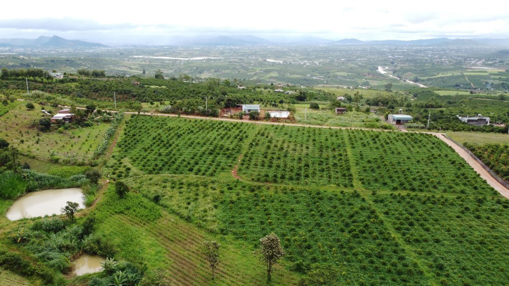Địa Ốc Tín Đức