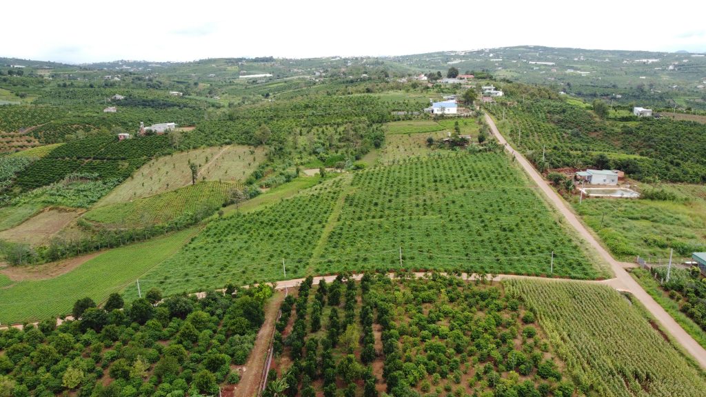Địa Ốc Tín Đức