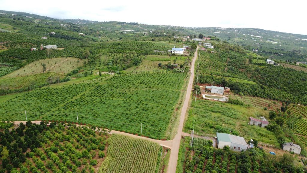Địa Ốc Tín Đức