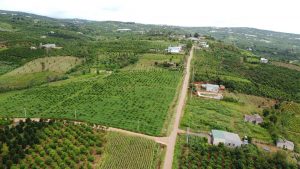 z2842328021243_6c09de322a82e4b9a9091ffaf15b8b80