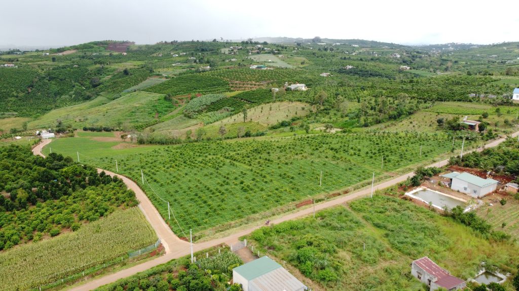 Địa Ốc Tín Đức