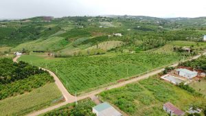 z2842329972208_0c5584ee78879aec4ada9ec9c7cfe69c