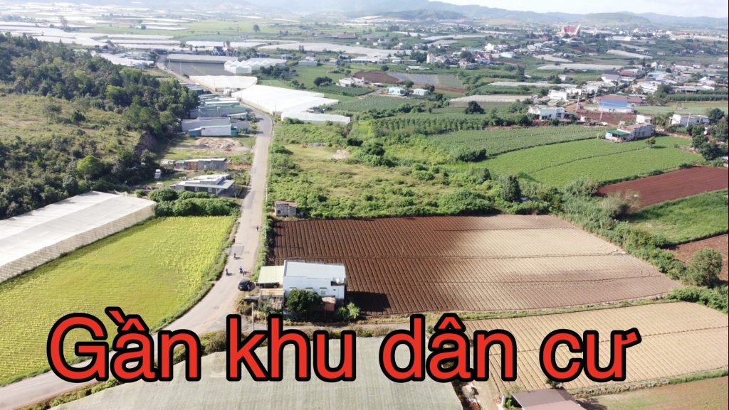 Địa Ốc Tín Đức