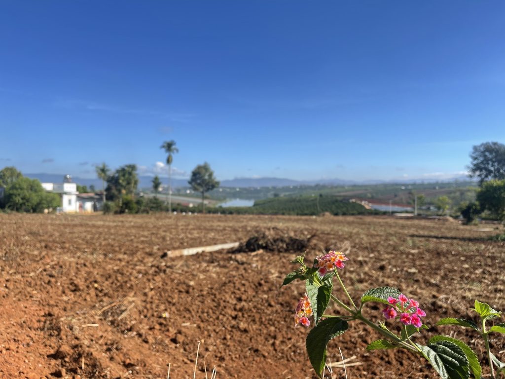 Địa Ốc Tín Đức
