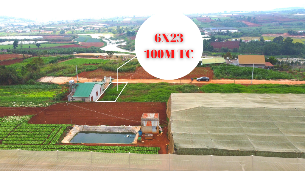 Địa Ốc Tín Đức