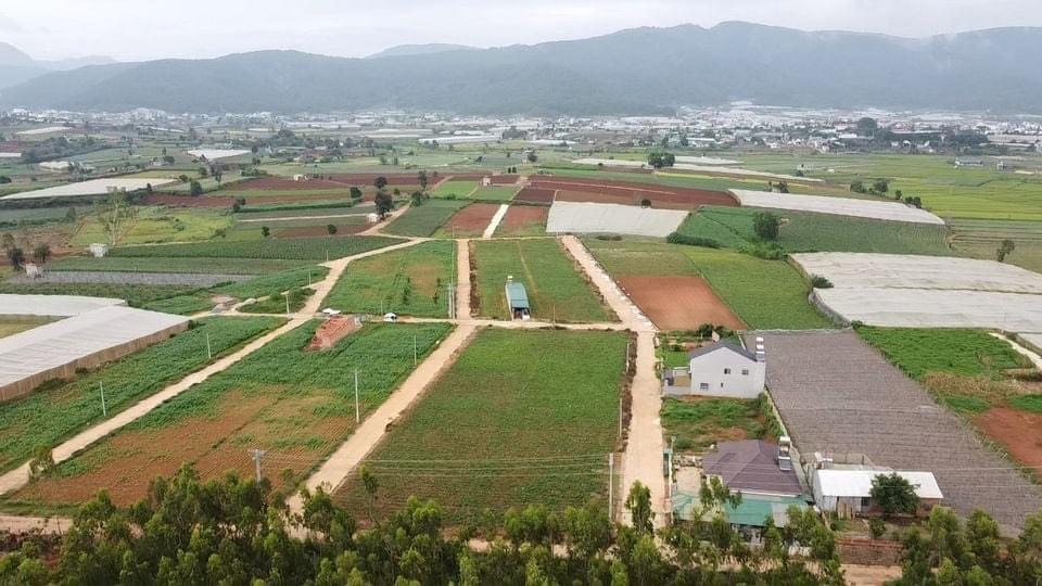 Địa Ốc Tín Đức